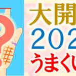 【手相 占い】2024年あると大活躍！こんな人がうまくいく開運手相！水森太陽が徹底解説！【2024年の運勢】