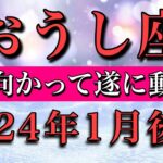 おうし座✴︎2024年1月後半 夢に向かって遂に動き出す！Taurus✴︎late January 2024