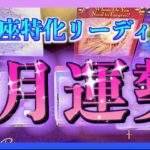 【２０２４年】うお座さんの2月の運勢は？🌈😳※後日開運アクションの動画出します😊