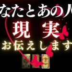 🦋恋愛タロット :: 今あなたとあの人の現実を俯瞰して直視＆再考したい人に☕️ あの人からのメッセージ付📱✨今あなたに必要なアドバイスも✍️💕 (2024/1/10)