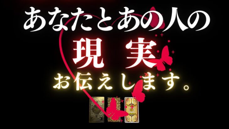 🦋恋愛タロット :: 今あなたとあの人の現実を俯瞰して直視＆再考したい人に☕️ あの人からのメッセージ付📱✨今あなたに必要なアドバイスも✍️💕 (2024/1/10)