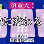 【魂占い】急激に変わることを占いました！