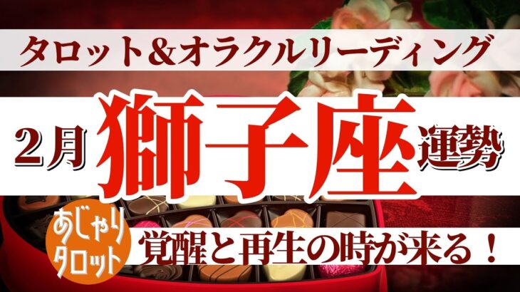 【獅子座2月】新月に覚醒し、再生の時を迎える🌙困難さを表に出さないあなたへのアドバイスとは⁉️🔮🧚タロット&オラクル