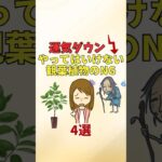 やってはいけない観葉植物風水のNG【風水アドバイザーがご紹介】#shorts