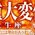 【牡牛座♉️未来視】これから完全に人生が変わります。2月の運勢、起きること、今の状況