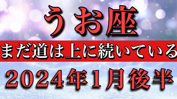 うお座♓︎2024年1月後半 まだ道は上に続いている！Pisces✴︎late January 2024 tarot reading