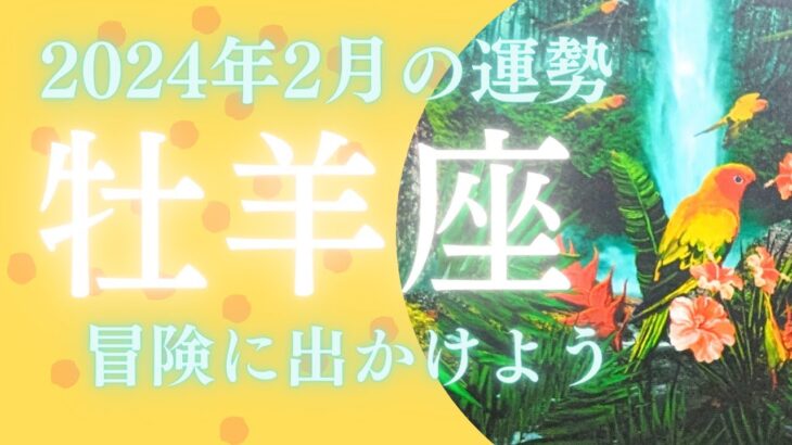 【おひつじ座♈】✨2024年2月の運勢✨冒険に出かけよう🕊見た時がタイミング✨