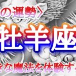 【#牡羊座♈️さんの※2月運勢！龍神様と共に🐉⛩️】全体！仕事！人間関係！恋愛！転機予報【大きな魔法を体験するよ！】※五龍神おみくじのおまけも宜しくね🫶🏻タイムスタンプあり！