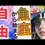 2024魚座♓️ 1月前半✨【自分の世界は最高！計画は順調】 感情のゆらぎリーディング,タロット,オラクル,運勢