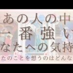 今あの人の中で一番強いあなたへの気持ち。あなたのことを想うのはどんな時？【恋愛・タロット・オラクル・占い】