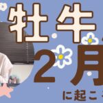 【牡牛座】2月♉️可能性がブワ〜ッと広がる✨経験全てが大事な財産になる1ヶ月！