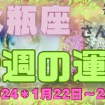 ♒️水瓶座さん特化型✨今週の運勢✨1月22日〜28日＊