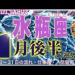 水瓶座♒さん【1月後半の運勢✨16日〜31日の流れ・仕事運・人間関係】燃え上がる気持ち🔥#2024 #直感リーディング #タロット占い