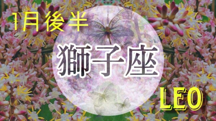 【1月後半✴︎獅子座】🔥向上が燃える！自己更新していく時！癒しも同じくらい求めて🌿✴︎🌙