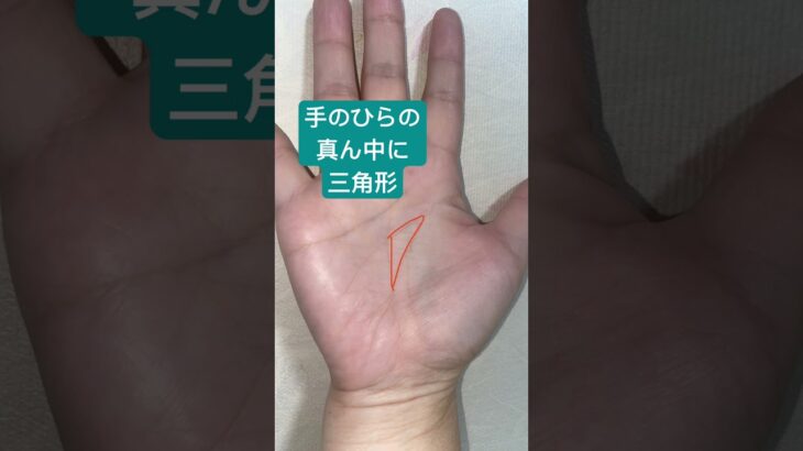 逆境に強い、手のひらの真ん中の三角形 #手相 #占い #逆境に強い