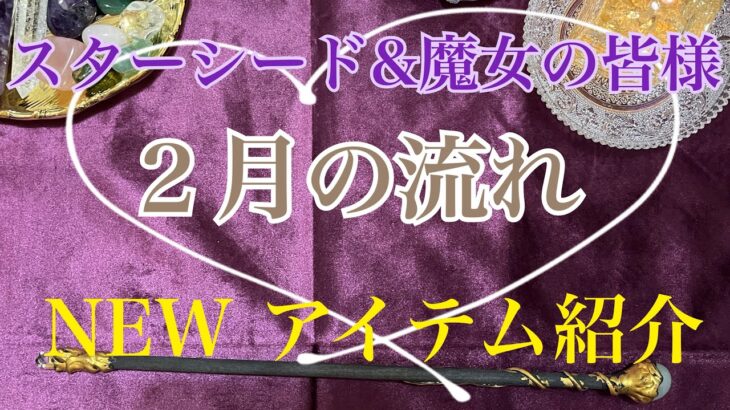 さすが独特なメッセージが届いております🔮【数秘術占い師のカードリーディング】