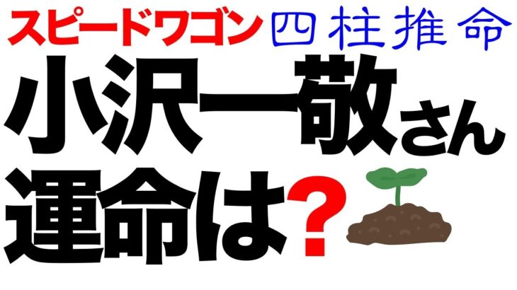 スピードワゴン小沢一敬さんの運命はいかに！？【四柱推命】