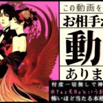 YesもNoもあります※お相手様は動きますか？【忖度一切なし❤︎有料鑑定級❤︎辛口】