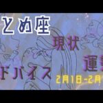 おとめ座さん2月1日から15日の運勢・アドバイス🍀*゜タロット占い