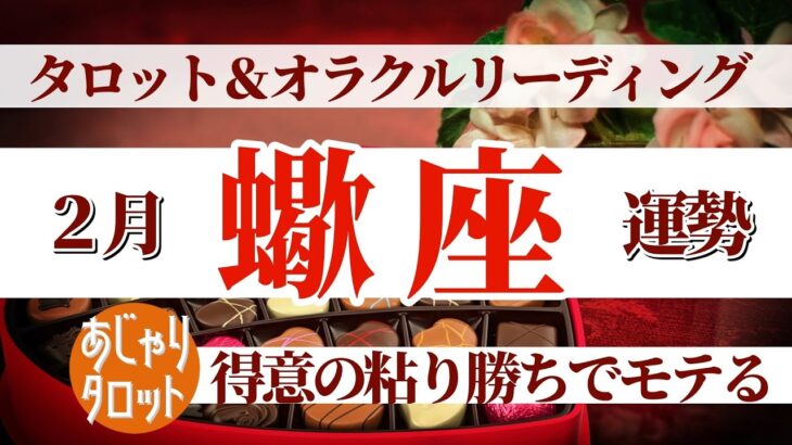 【蠍座2月】勝負で粘り勝ち😳🎊そこが格好良くてモテる❣️さらに魅力アップする方法とは⁉️🔮🧚タロット&オラクル