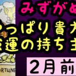 【2月前半の運勢】みずがめ座   やっぱり貴方は強運の持ち主！超細密✨怖いほど当たるかも知れない😇#星座別#タロットリーディング#水瓶座