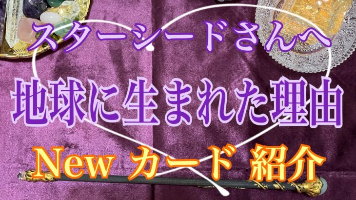 スターシードさんへのリーディング🔮【数秘術占い師のカードリーディング】