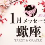 【蠍座♏️1月運勢】ここから大切にしたいマインド🌟あなたの影響力を信じて表現していこう✨タロット＆オラクルカードリーディング