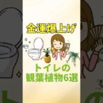 【金運覚醒】トイレの観葉植物6選【風水アドバイザーがご紹介】#shorts