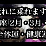 良い年かも！うお座さん２月、３月、４月の全体運・健康運。Overall luck and health luck for Pisces in February, March, and April.