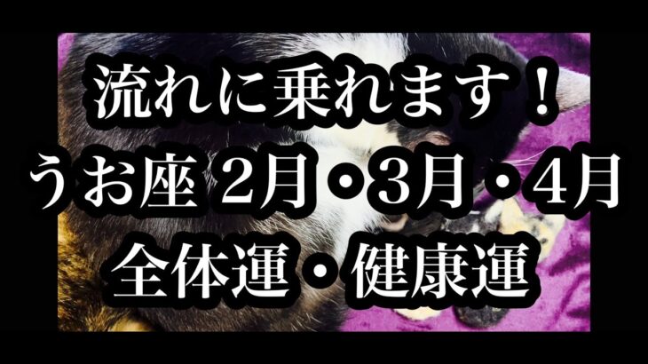 良い年かも！うお座さん２月、３月、４月の全体運・健康運。Overall luck and health luck for Pisces in February, March, and April.