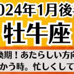 🌛おうし座♉1月後半タロットリーディング│全体運・恋愛・仕事・人間関係