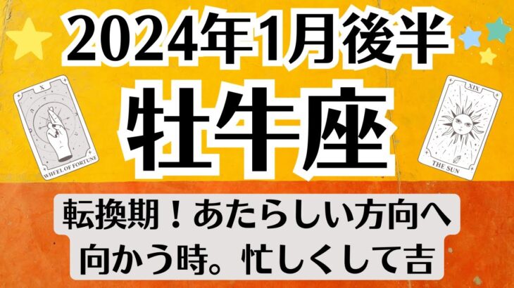 🌛おうし座♉1月後半タロットリーディング│全体運・恋愛・仕事・人間関係