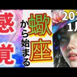 2024蠍座♏️1月前半✨【この感覚を持つ事で,もっと自由になれる】 感情のゆらぎリーディング,タロット,オラクル,運勢