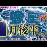 蠍座♏️さん【1月後半の運勢✨16日〜31日の流れ・仕事運・人間関係】我慢してきた事が報われる🍀#2024 #直感リーディング #タロット占い