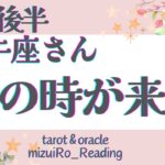 【牡牛座1月後半】神回！本格的な開運の始まり！注目が集まり”実り”を得る🌟 仕事運 /対人運 /恋愛運/家庭運/全体運 #タロット占い #2024年 #1月の運勢