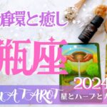 【みずがめ座】2024年2月運勢🕊脱皮の期間💫大きな愛に包まれる💖お誕生日プレゼント企画🎁星とカードからのメッセージ🌟【タロット＋オラクルカード＋アロマ】仕事・恋愛・人間関係・お金