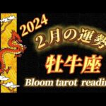 ♉️牡牛座  【2024年2月の運勢】  流れが変わって来たなぁって実感出来る🌈自分のペースで着々と．．．望む結果へ