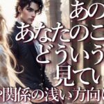 あの人はあなたのことをどういう風に見てる？🙊※やや関係の浅い方向けです🤓占い💖恋愛・片思い・復縁・複雑恋愛・好きな人・疎遠・タロット・オラクルカード