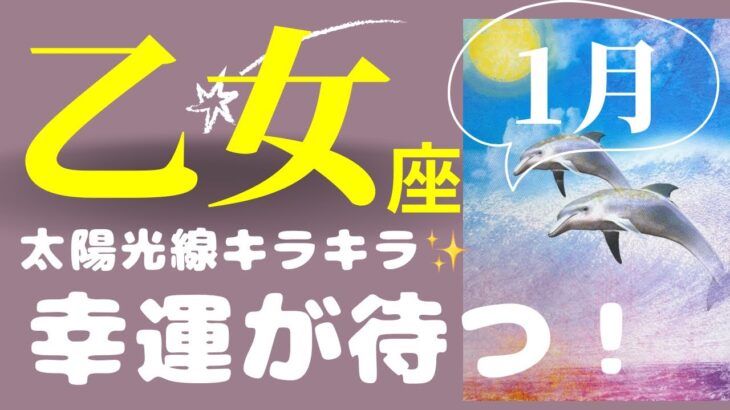 【乙女座2024年1月】すべてが見事なまでに上手くいくので、心配しないで！太陽の輝きに照らされるシーズン（タロット&オラクルカードリーディング）