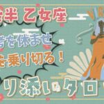 【乙女座】2024年1月後半のタロット占い「思考を休ませ､苦悩を乗り切る！」【月間運勢】【タロット×占星術】