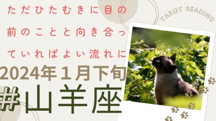 山羊座さん　自分で思っている以上に満たされて恵まれている状況です🌈目の前のことをただひたむきにこなしていればよし✨【2024年1月下旬の運勢】#山羊座　#タロット　#2024年1月