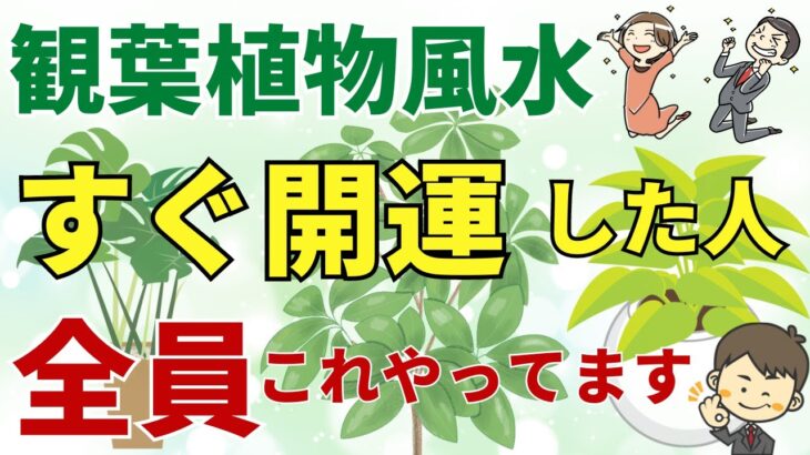 【観葉植物風水】すぐ開運する人の共通点！風水アドバイザーご紹介