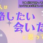 【お相手からこれだけは言っておきたい！との事です💦】お相手の本音深掘り回！あの人は連絡したいと思ってる？会いたいと思ってる？タロット オラクルカードで深掘りリーディング✨縁結びショップ新作紹介もあるよ