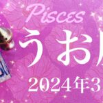 【うお座】2024年3月♓️ 遂に始動！女神からの祝福！生まれ変わるような変容、じんわり、でも確実にあるもの、愛、絆、分かち合う