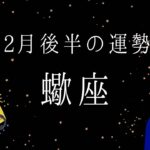 【 蠍座 】2月後半の運勢　さそり座の力はそんなもんじゃない！！　2024年タロット占い