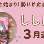 【獅子座】2024年3月運勢♌️転換期‼️終わりと始まり。新たなご縁が広がる✨勢いが止まらない‼️