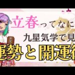 【雑談】2024年は今日からスタート！立春についてと今年の開運方法を紹介！【Vtuber】【占い】【virtualyoutuber】