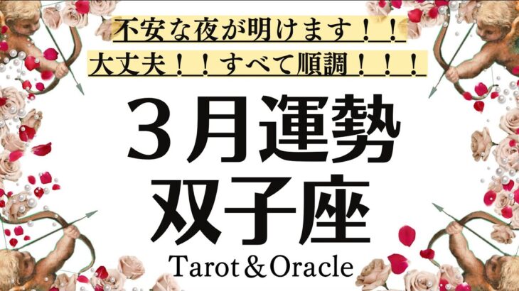 ハイッ！もう終わり！！！不安な夜が明けます！！！物凄いシンクロ発生！この奇跡のメッセージを受け取って双子座♊３月全体運♊仕事恋愛対人［個人鑑定級タロット］