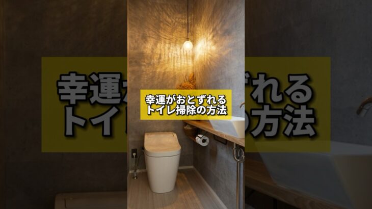 幸運がおとずれるトイレ掃除の方法　#風水 #金運 #金運アップ #八納啓創