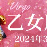 【おとめ座】2024年3月♍️雪解けの春！踊り場からの大逆転、根本的な解決、勇気の剣、見えてくる晴れ間、順調な共同作業